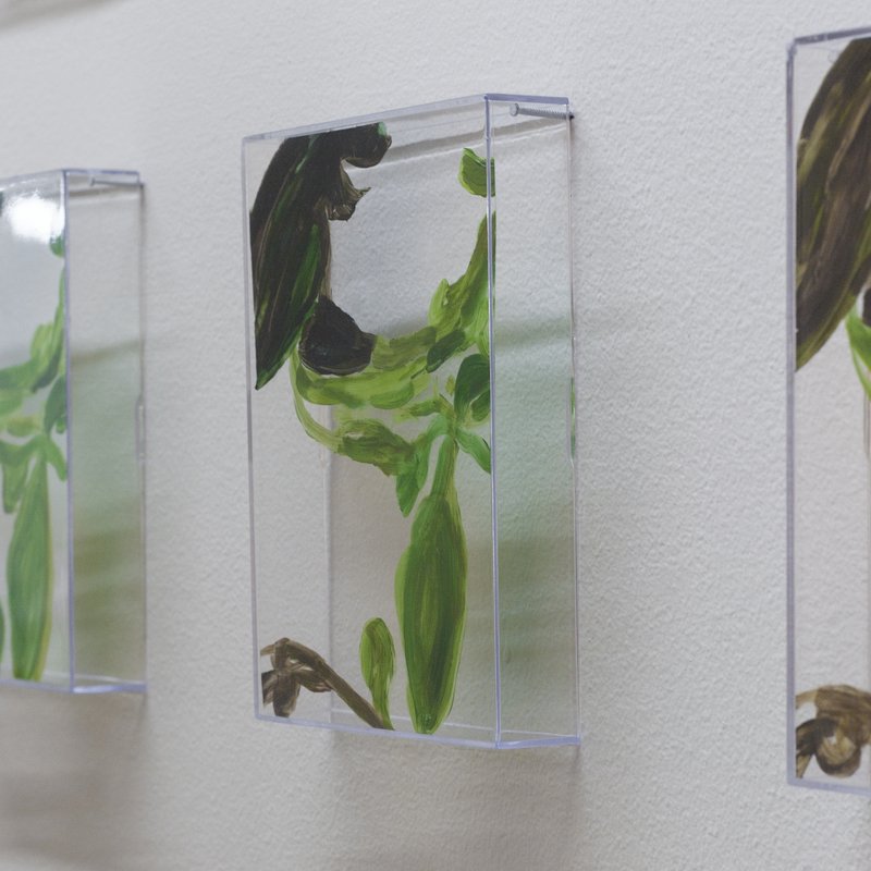 20150226 Alex Fischer 1 7 and 6000 O'Born Contemporary 58 VII (6000) documentation